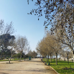 Parque André Jarlan